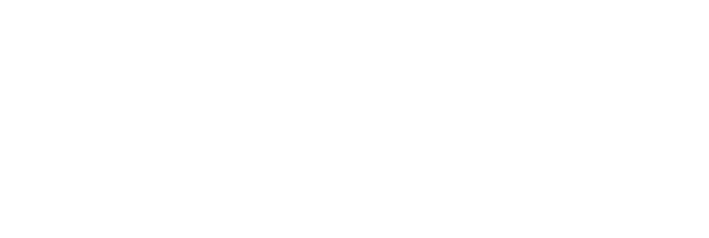 WKB logo transparant