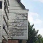 Gevelschilderwerk woning Purmerend op website project